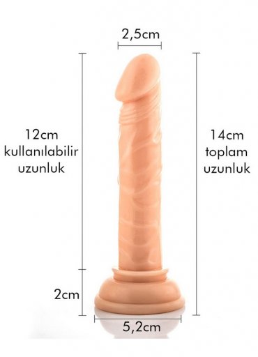 13 Cm Damarlı Vantuzlu Dildo