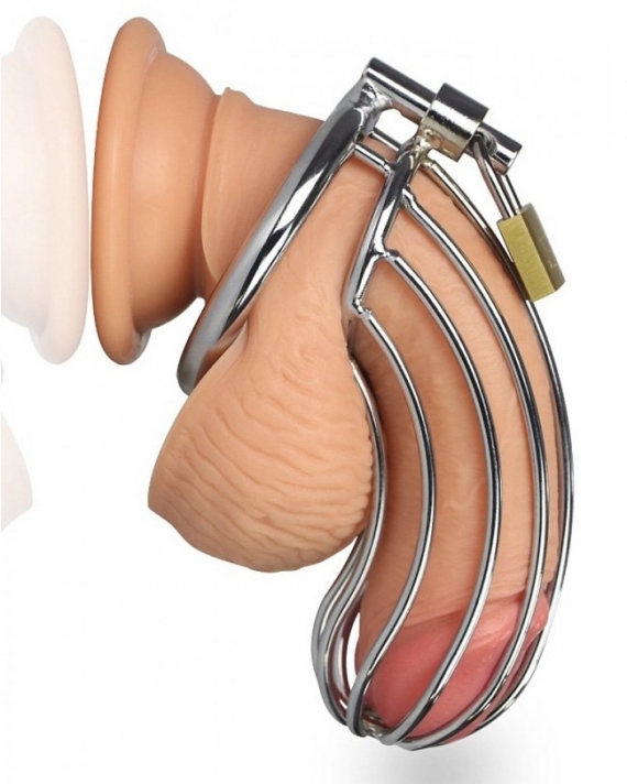 Penis Bekaret Kilidi